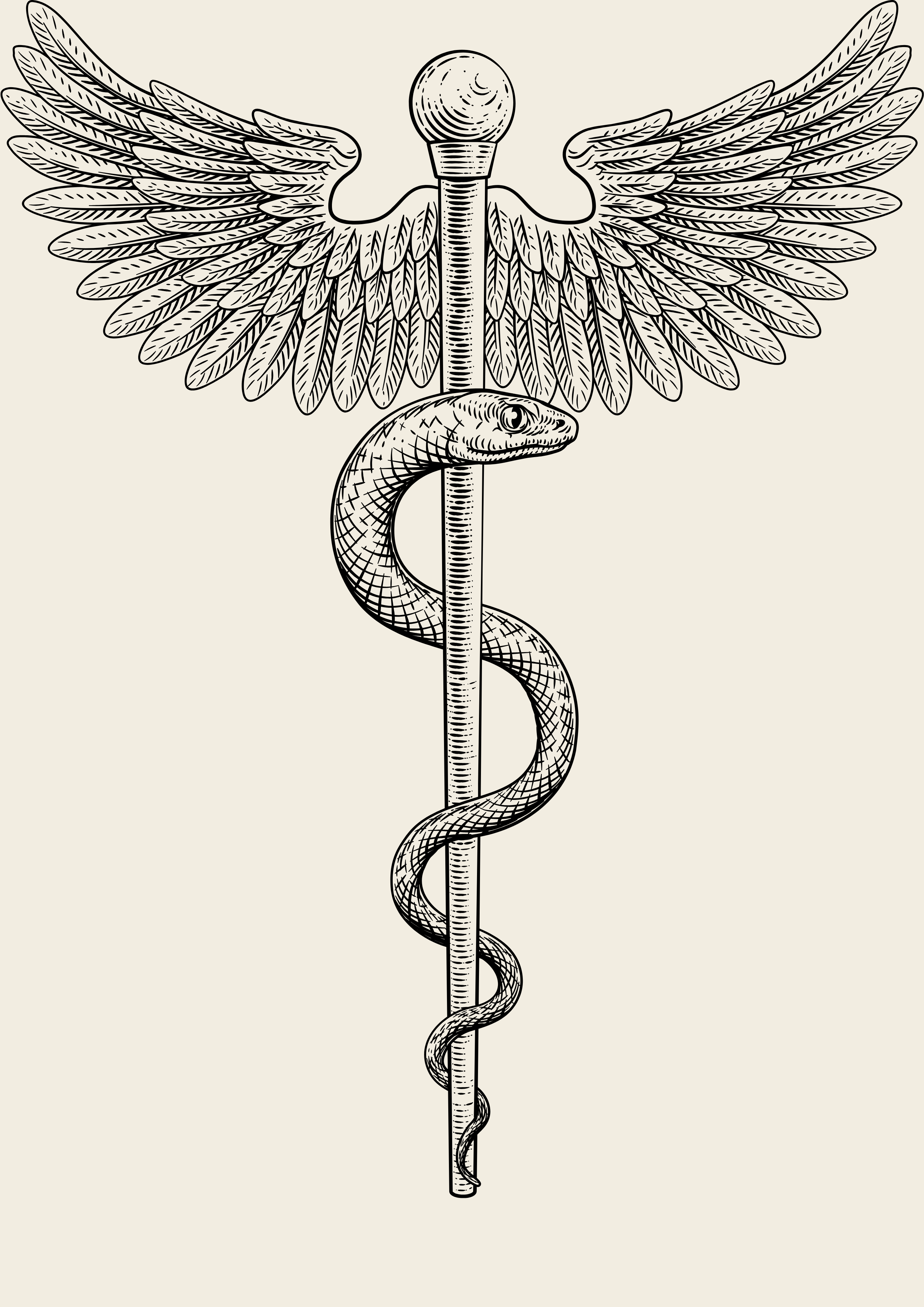 Zeichnung des Äskulapstabs
