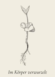 Zeichnung eines Buchensprösslings