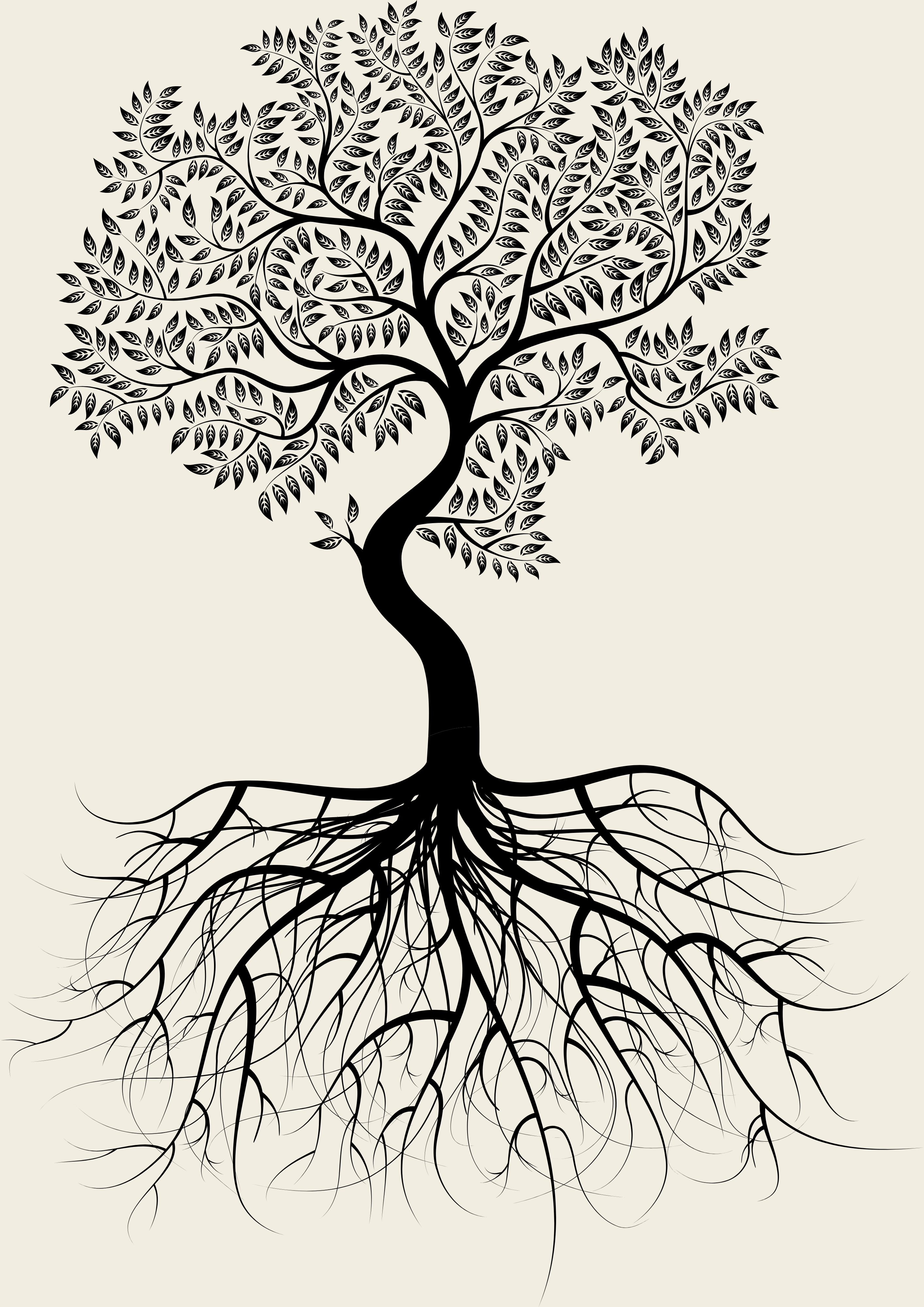 Zeichnung eines Baumes mit Wurzeln